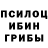 Галлюциногенные грибы Cubensis Sayagul Bakijanova