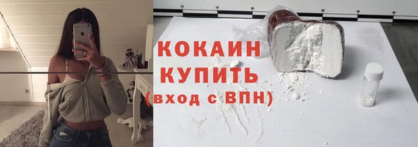 дживик Горняк