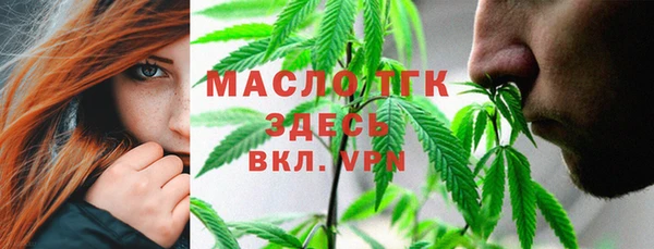 дживик Горняк