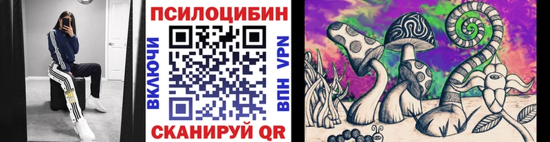 Псилоцибиновые грибы MAGIC MUSHROOMS  Купить  Шуя 